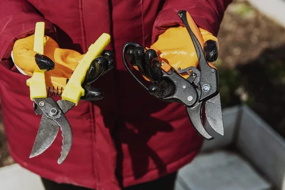 Person hält zwei Gartenscheren